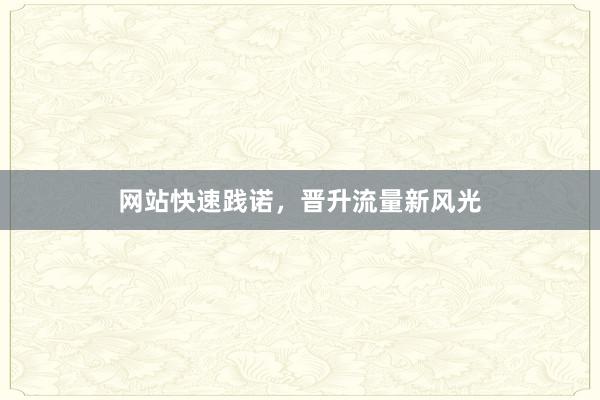 网站快速践诺，晋升流量新风光